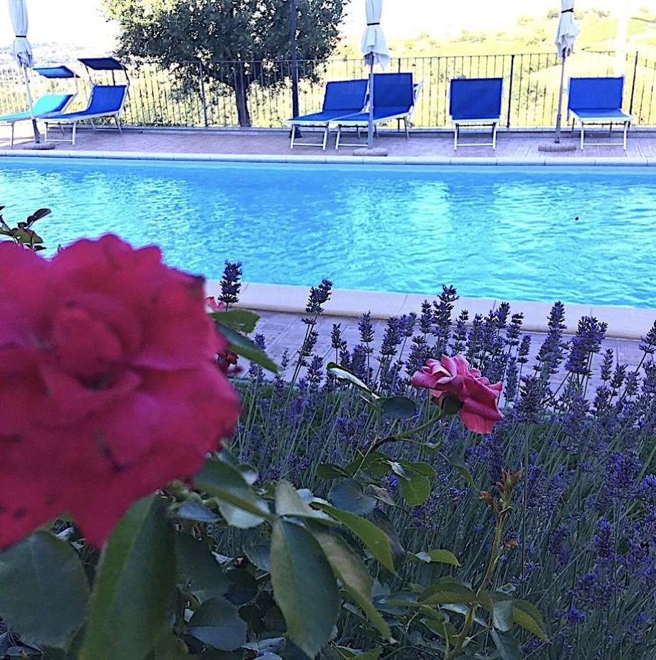 PISCINA ROSE E SPIGHETTE